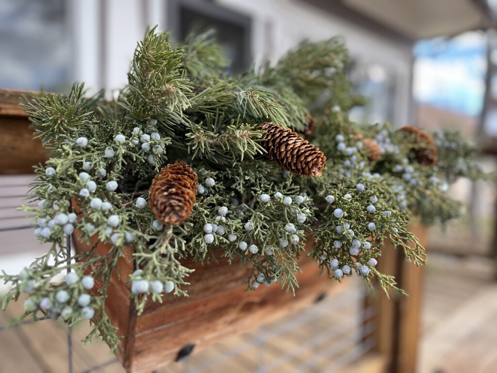 close up of Window box for Christmas 