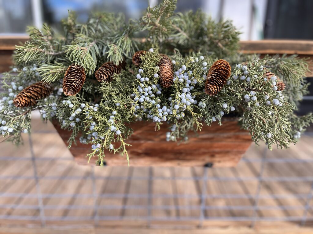 Window box with evergreen branches and pine cones