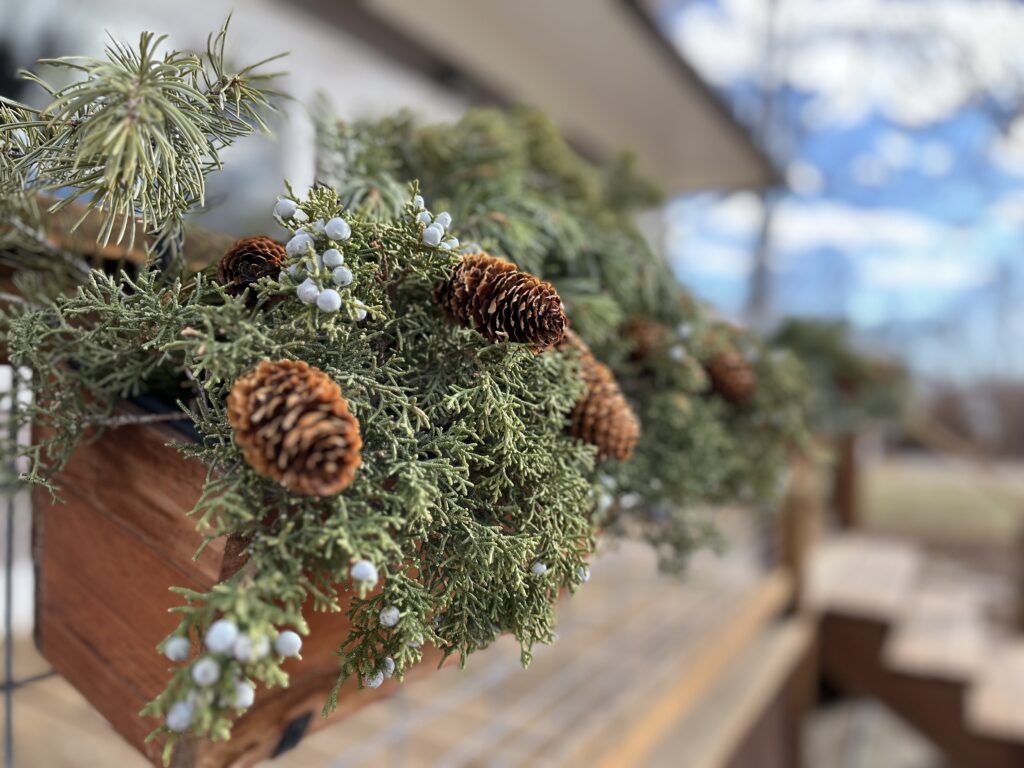 two Christmas window boxes