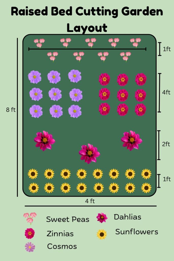 Raised bed cutting garden layout plans with cosmos, sweet peas, zinnias, dahlias, and sunflowers