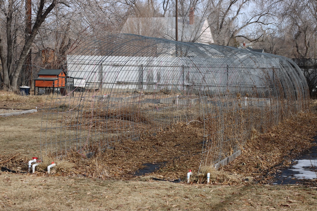 dead garden with a long arched tunnel