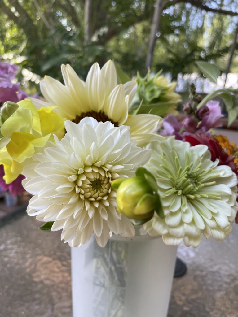 bouquet of cut flowers start a cut flower garden