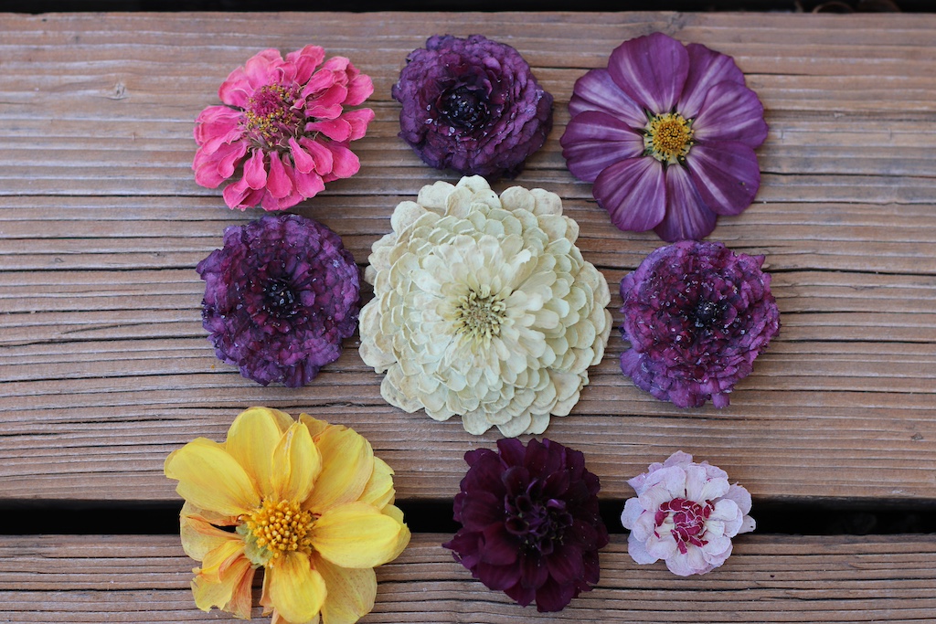 9 dried flower laid out
