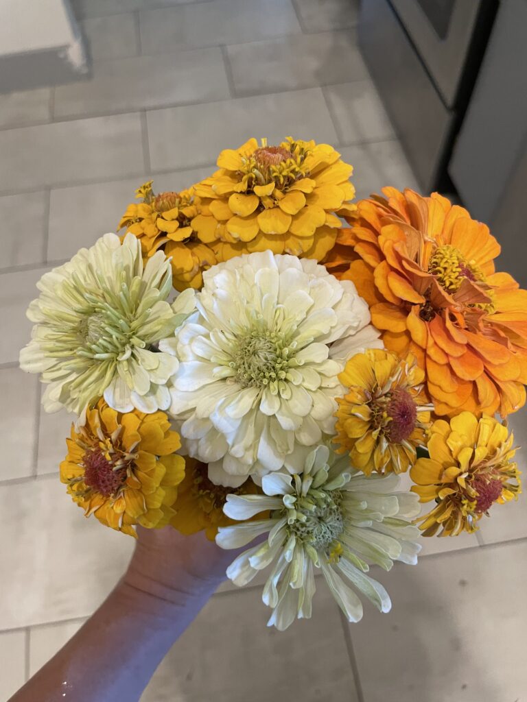 simple zinnia bouquet