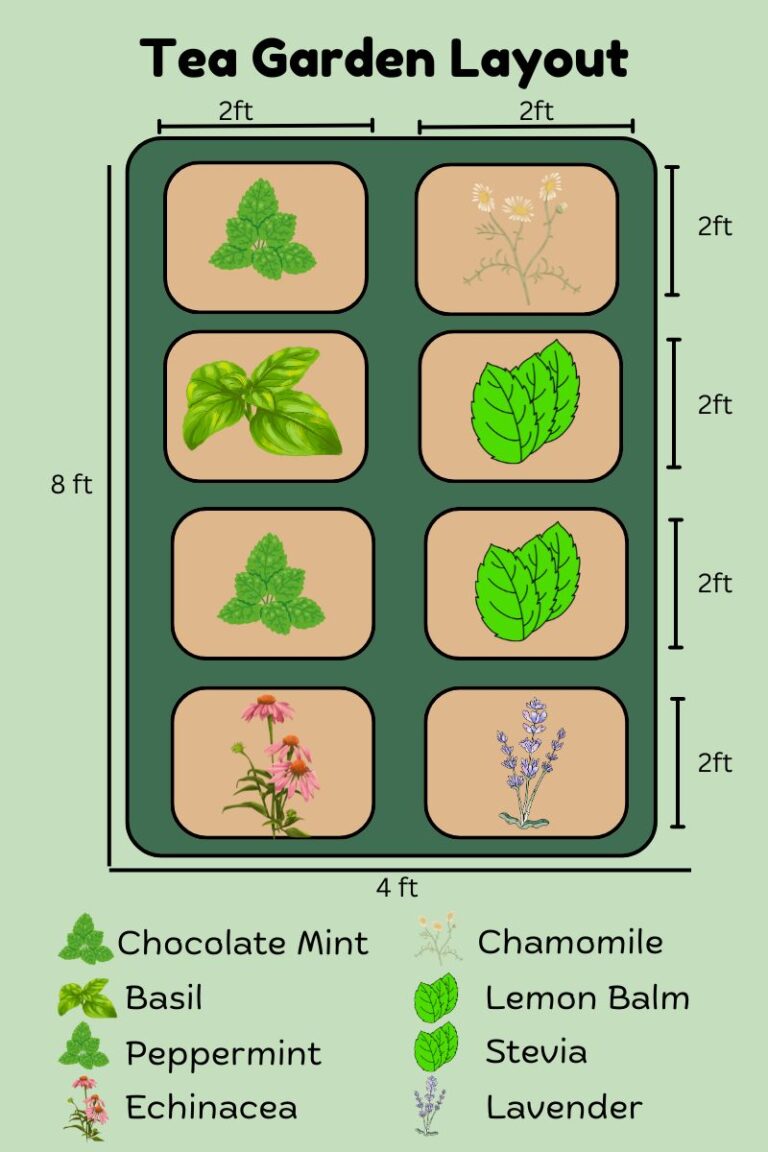 Tea Garden: How to Grow Your Own Healing Teas and Layouts!