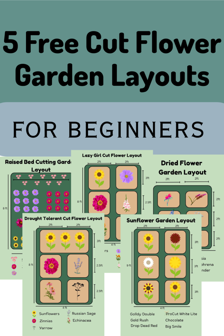 5 Simple Flower Garden Layouts for Beginners