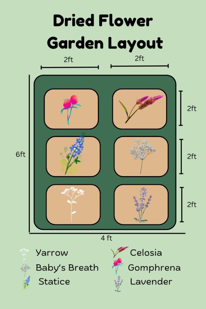 Dried flower garden layout