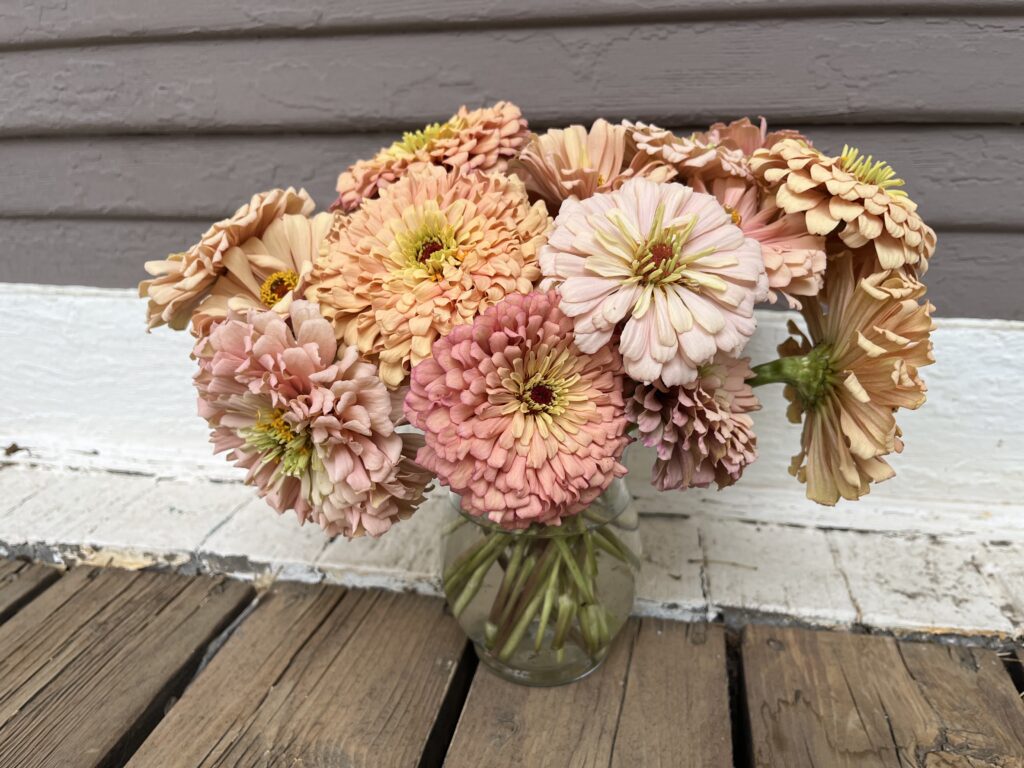 zinnia flower arrangement