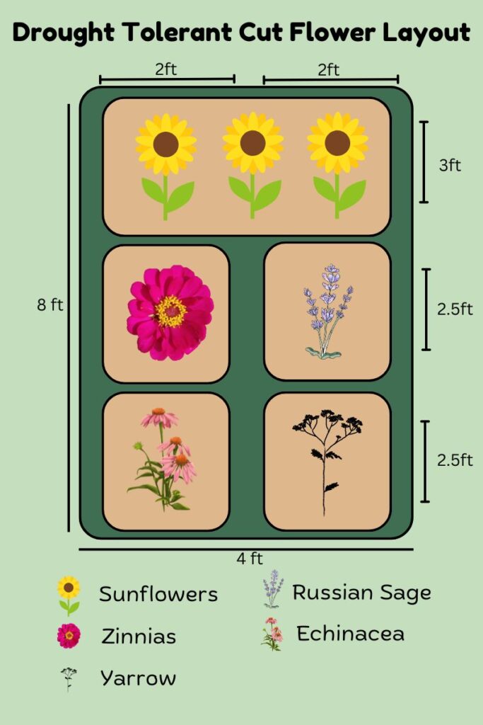 drought tolerant cut flower garden layout