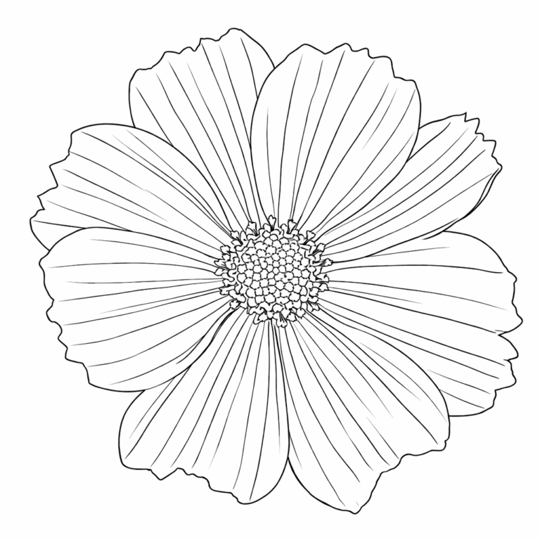 flower coloring sheets