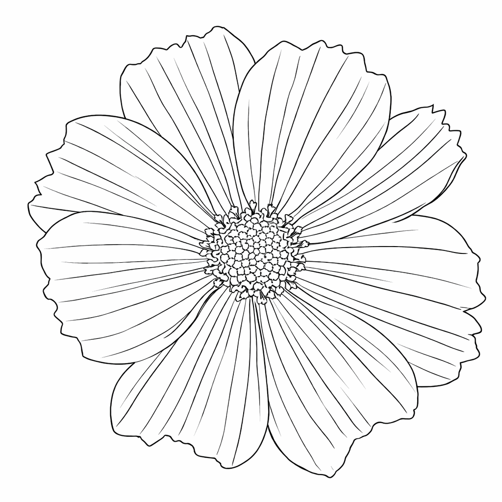 flower coloring sheets cosmo