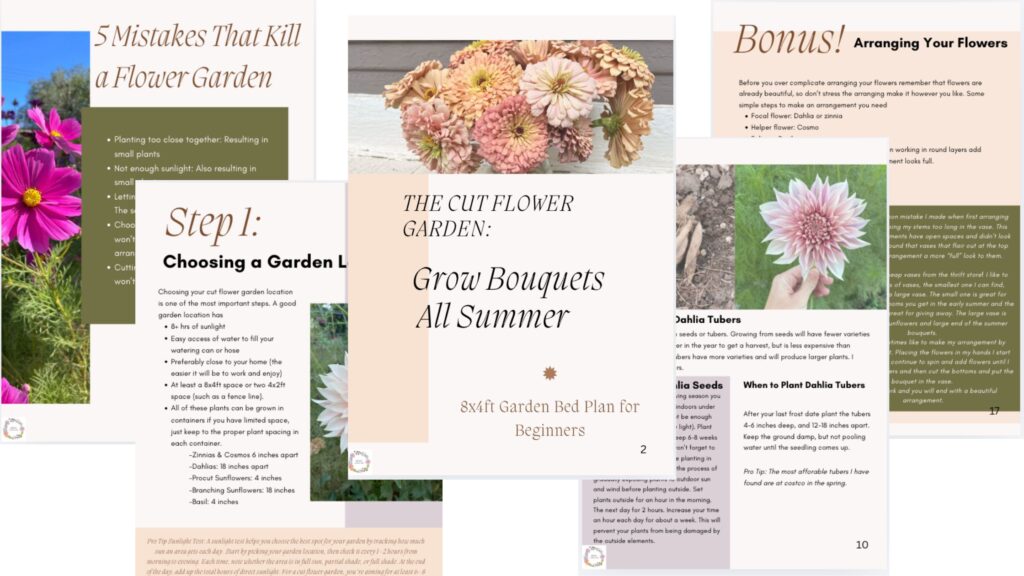 ebook of how to grow cut flower garden